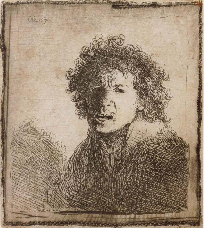 REMBRANDT Harmenszoon van Rijn Self-Portrait,Open-Mouthed,As if Shouting oil painting image